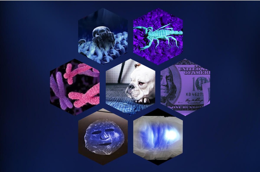 SUPERFIRE UV06 395nm UV Flashlight Torch Ultra Violet Torch