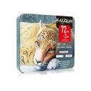 KALOUR 74 Metallic Color Pencil Tin Box Set - Perfect for Artists/Colorists