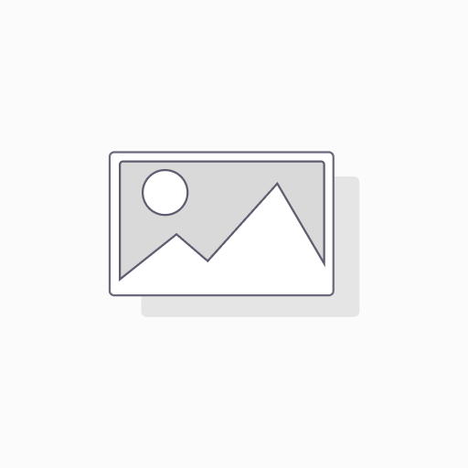 POUCH HUAWEI PURA 80 PRO HARD COVER